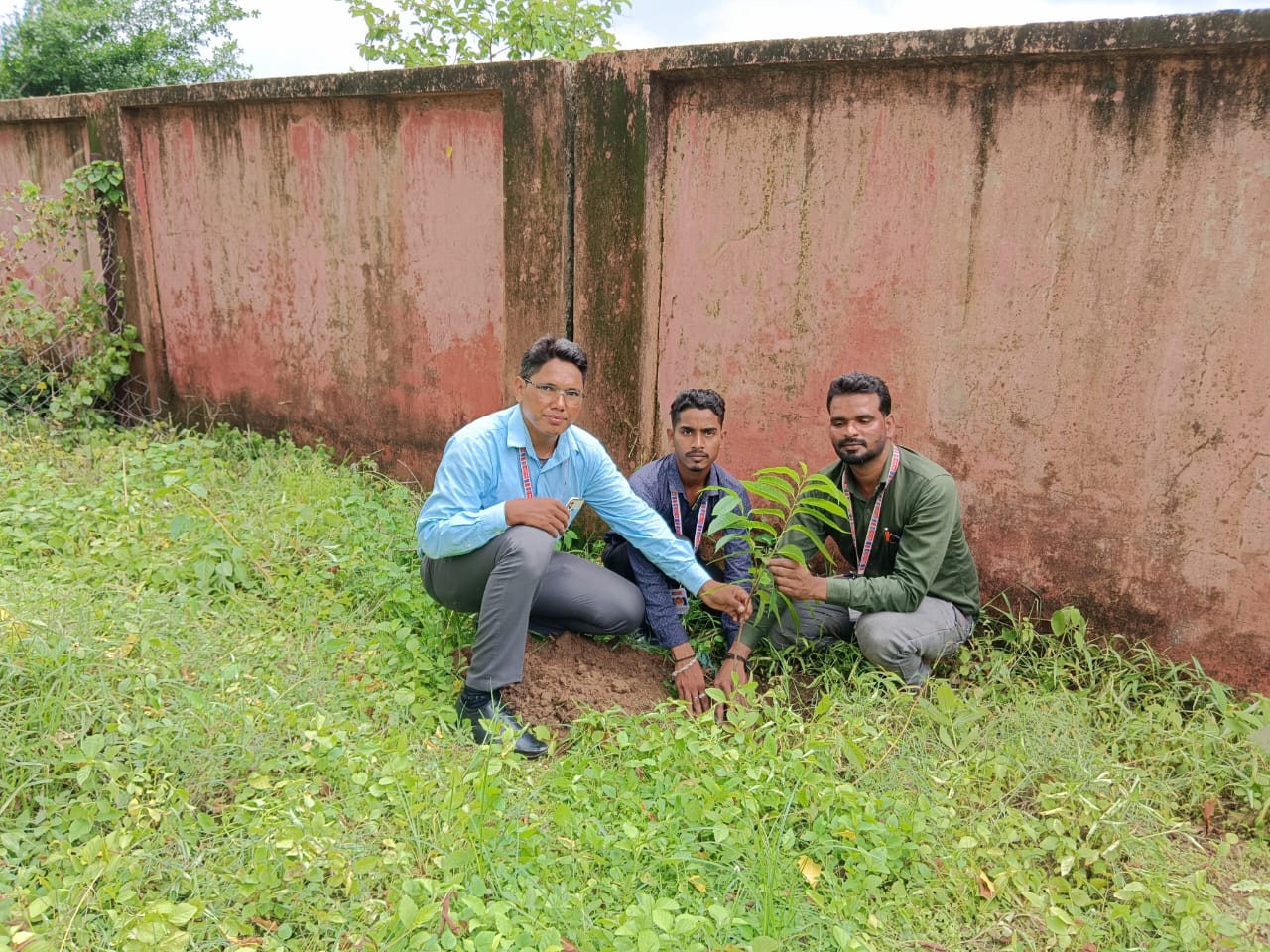 seva